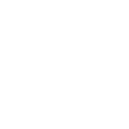 ce logo Boise