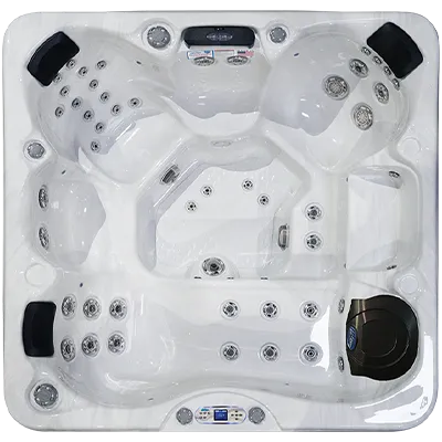 Avalon EC-849L hot tubs for sale in Boise
