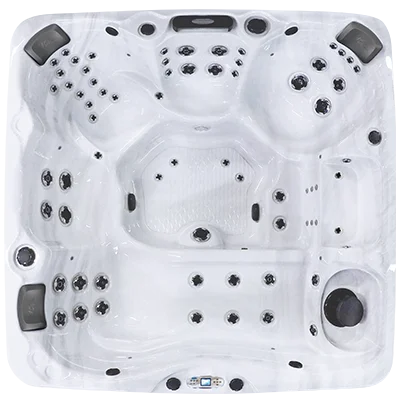 Avalon EC-867L hot tubs for sale in Boise